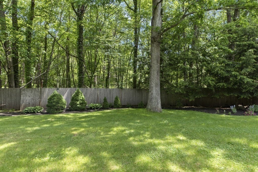 31 Cheney Pond Road Medfield, MA 02052 - Photo 7 of 31 Gallery Image 7