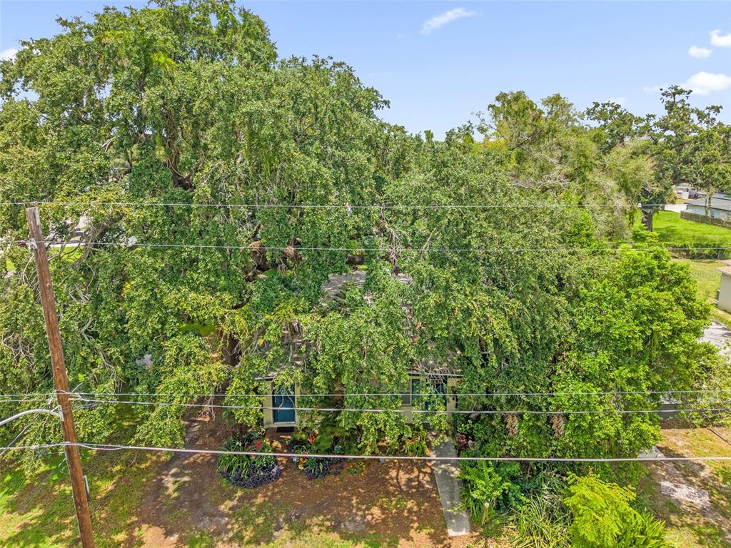 809 22nd Street Orlando, FL 32805 - Photo 3 of 21