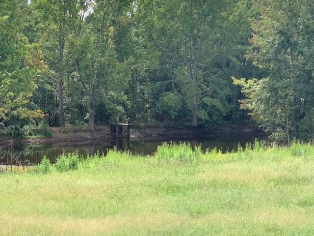 0 Old Vienna Road Abbeville, SC 29620 - Photo 4 of 8 Gallery Image 4
