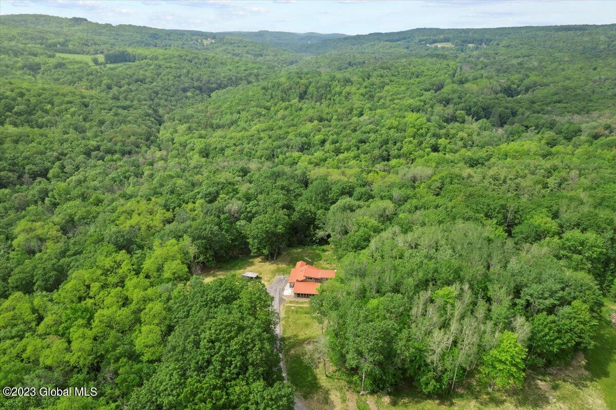 89 Fleming Road Rensselaerville, NY 12147 - Photo 31 of 32 02-DJI_0628