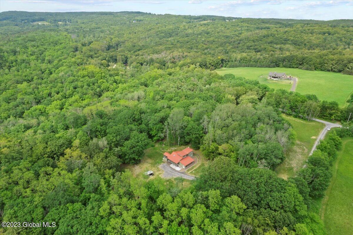 89 Fleming Road Rensselaerville, NY 12147 - Photo 32 of 32 03-DJI_0631