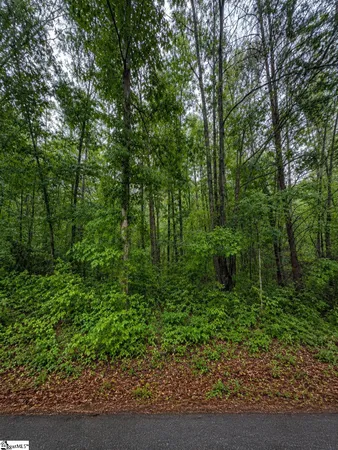 $150,000 | 0 Valley Road, Unit LOT 1, Travelers Rest, SC 29690