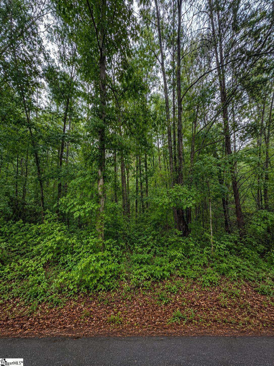 0 Valley Road, Unit LOT 1 Travelers Rest, SC 29690 - Photo 1 of 1