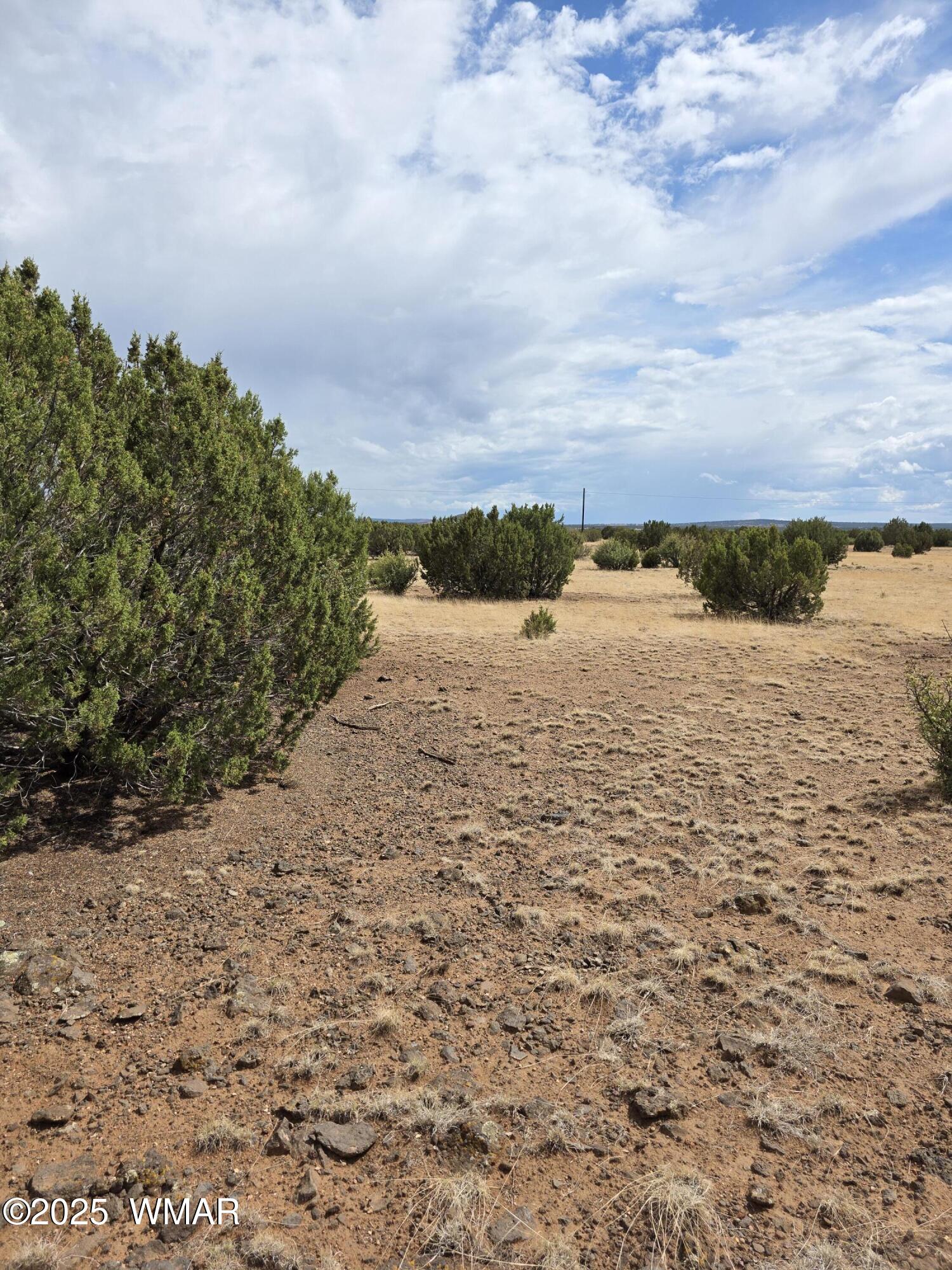 8770 Supancheck Road Show Low, AZ 85901 - Photo 15 of 17 20250722_145419