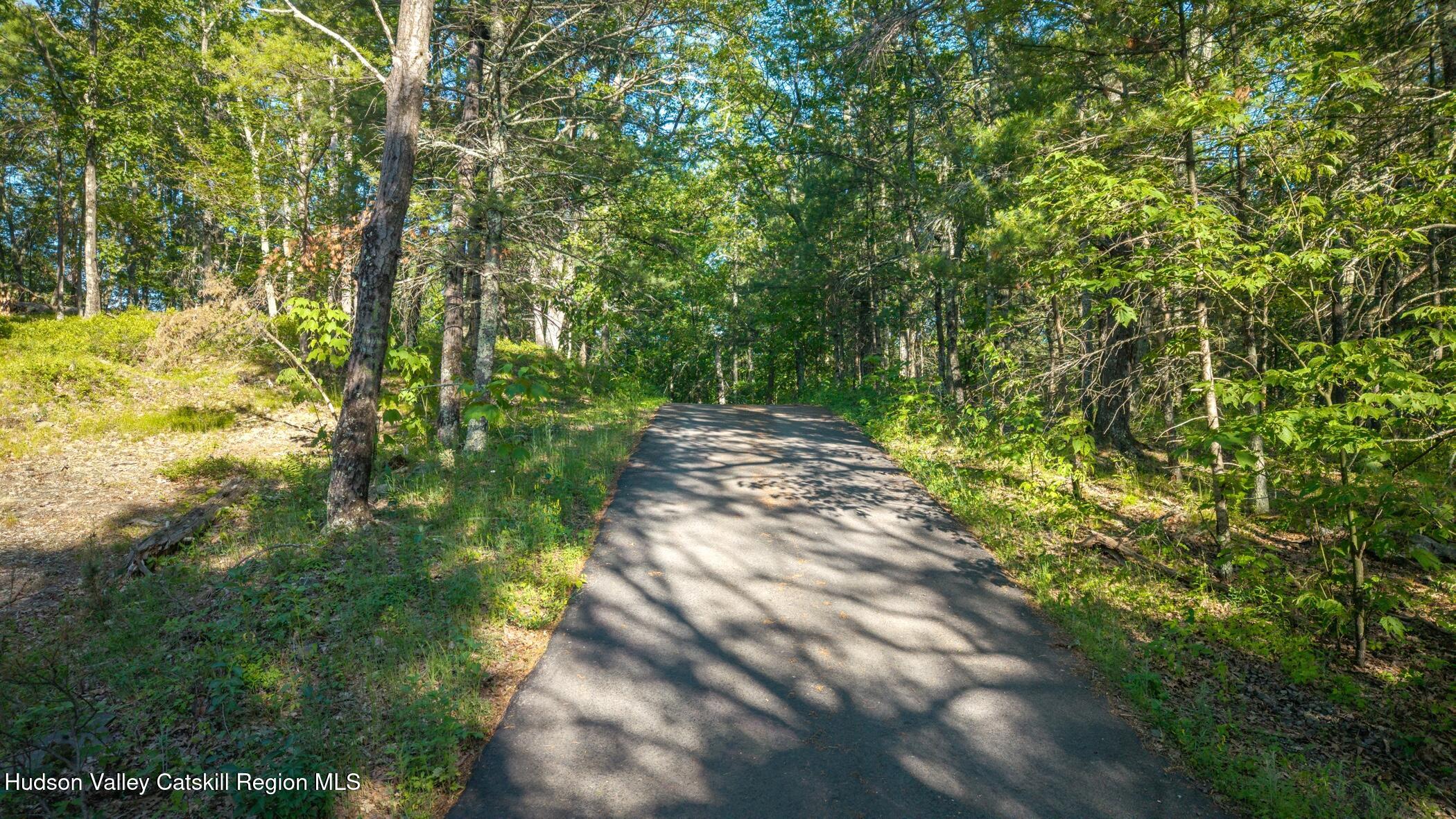 Tbd-2 Mt Airy Road Saugerties, NY 12477 - Photo 14 of 15 Driveway 1