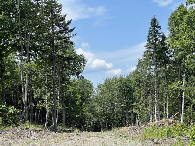 M12-41-123 Taylor Farm Road Rangeley, ME 04970 - Photo 14 of 14 Dead End Road