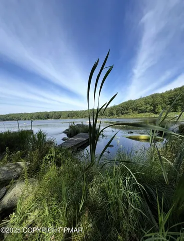 a view of a yard next to a building