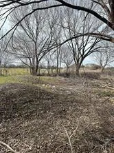 a view of yard with trees