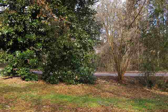 321 Spring Street Central, SC 29630 - Photo 8 of 8