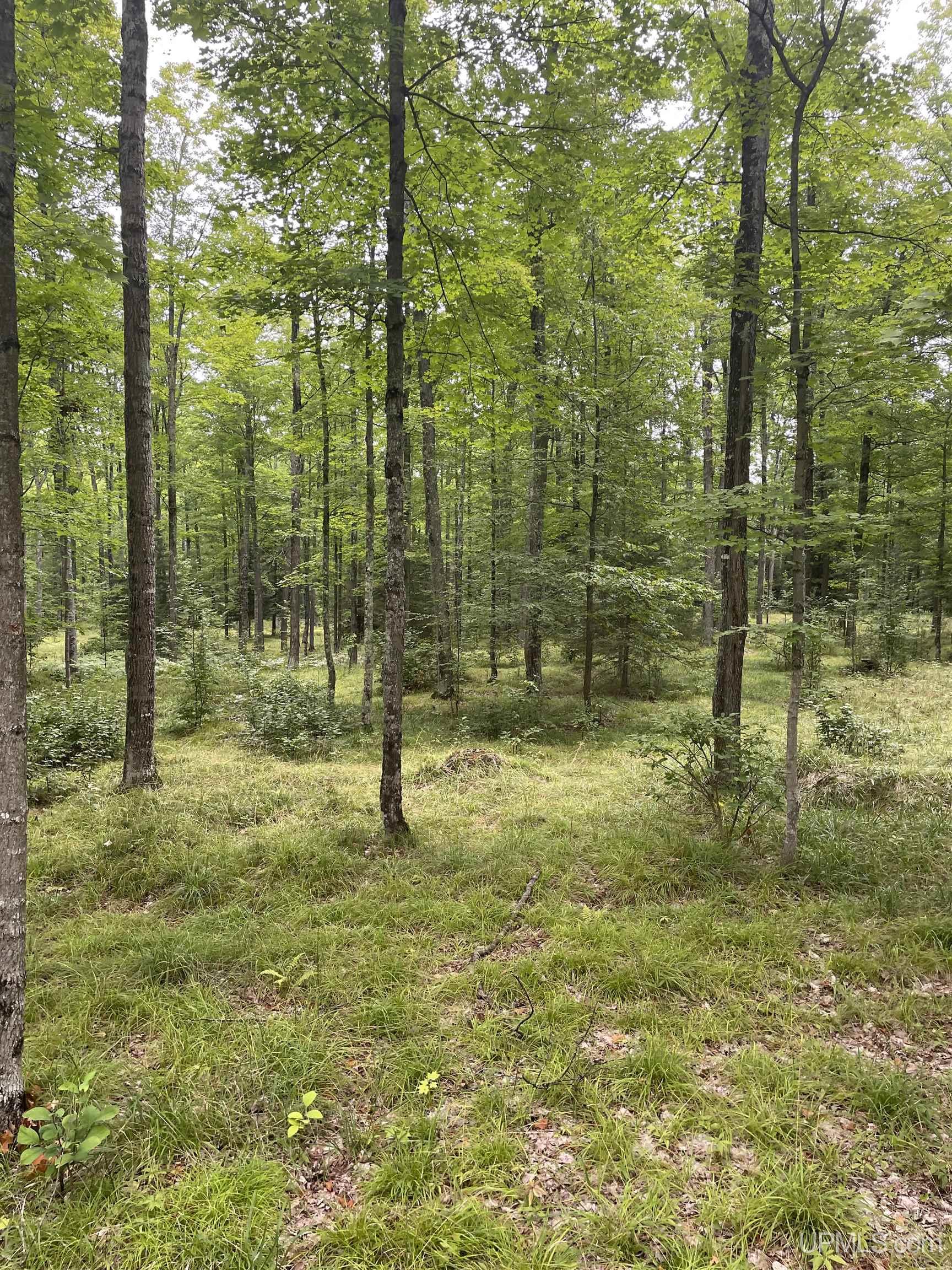 Tbd Tbd County Road, Unit 1 Cornell, MI 49818 - Photo 25 of 41