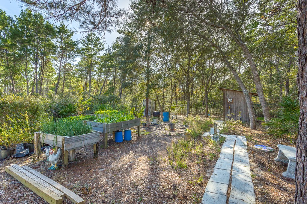 1955 Lighthouse Road Carrabelle, FL 32322 - Photo 39 of 45 Gallery Image 39