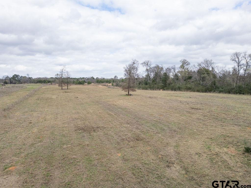 429 Texana Road Big Sandy, TX 75755 - Photo 11 of 29