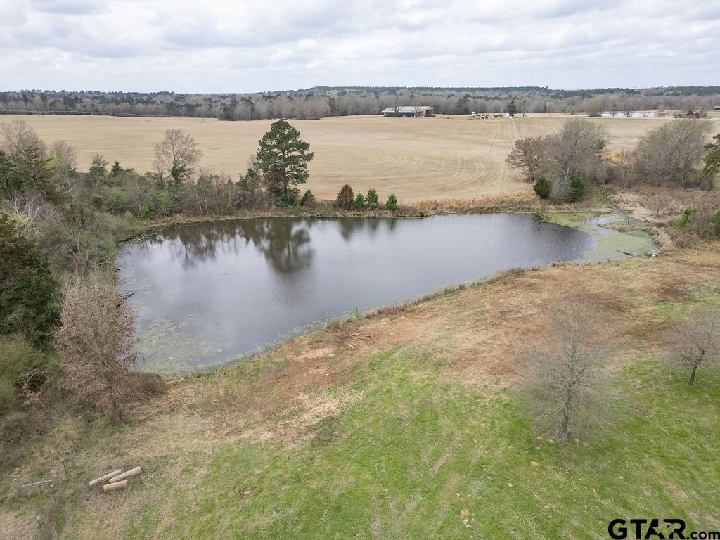 429 Texana Road Big Sandy, TX 75755 - Photo 12 of 29
