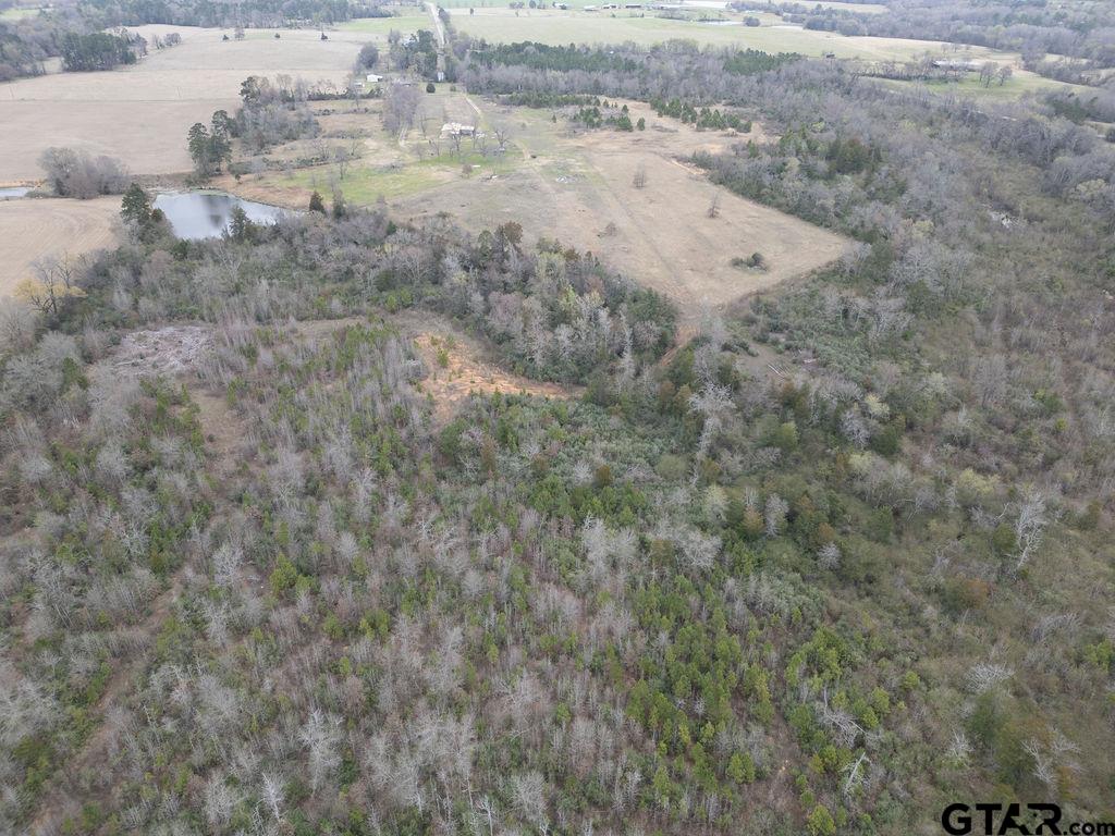 429 Texana Road Big Sandy, TX 75755 - Photo 14 of 29