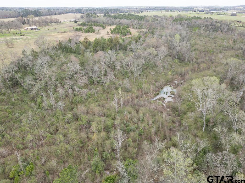 429 Texana Road Big Sandy, TX 75755 - Photo 16 of 29