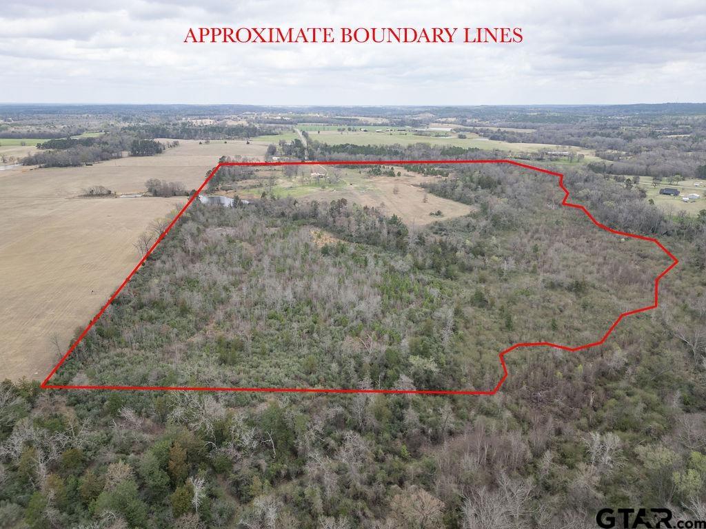 429 Texana Road Big Sandy, TX 75755 - Photo 19 of 29