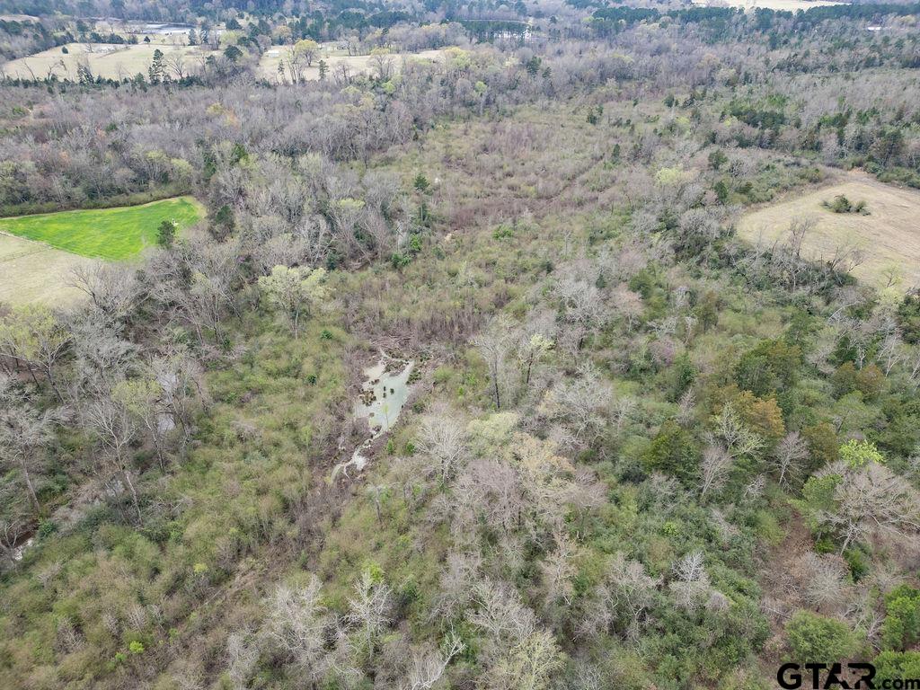 429 Texana Road Big Sandy, TX 75755 - Photo 9 of 29