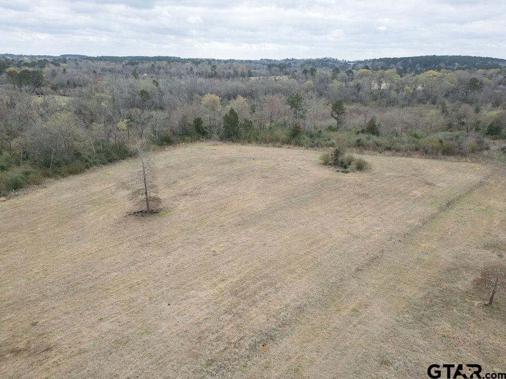429 Texana Road Big Sandy, TX 75755 - Photo 10 of 29