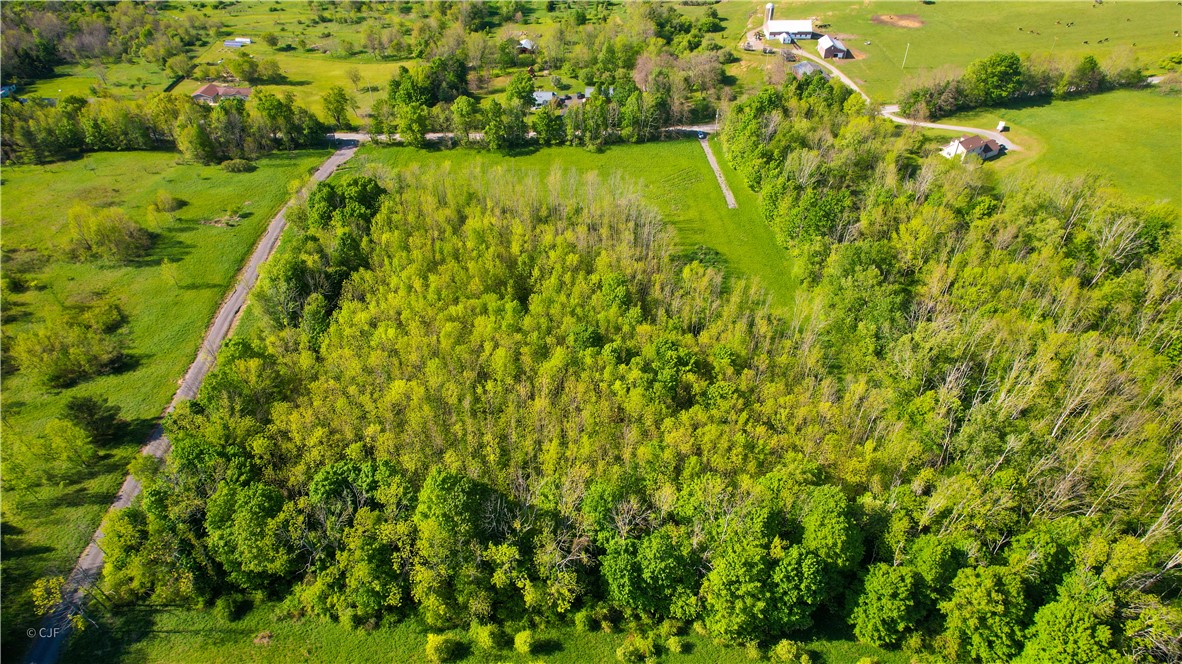 278 Millstone Road Warren, NY 13439 - Photo 11 of 12