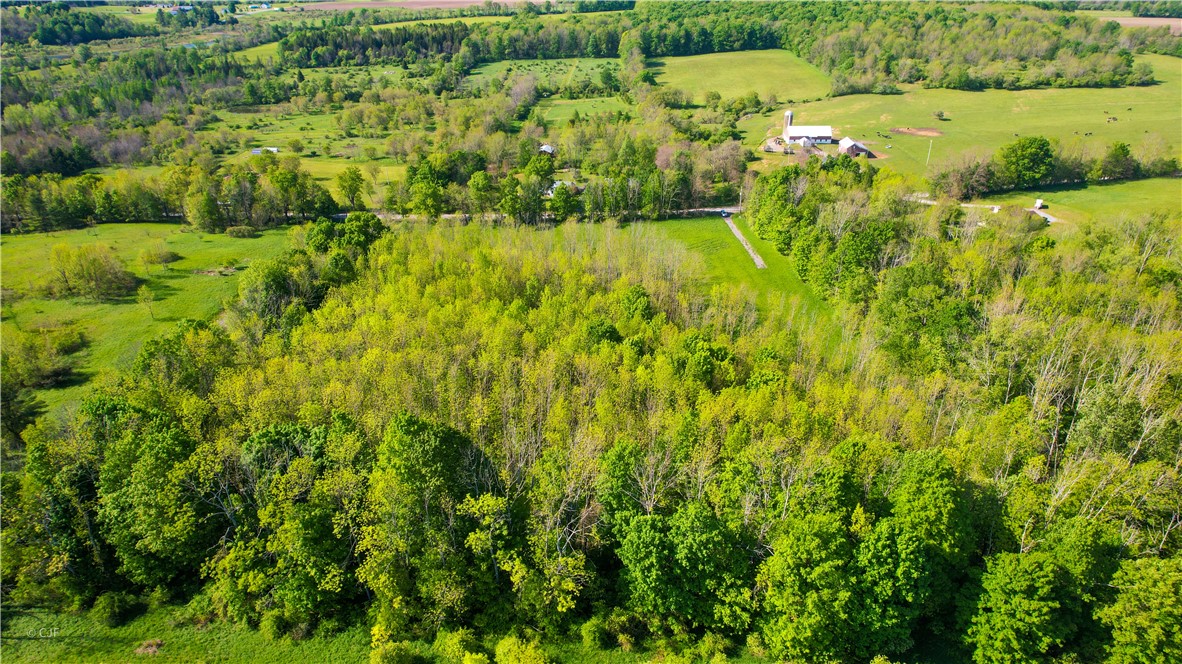 278 Millstone Road Warren, NY 13439 - Photo 12 of 12