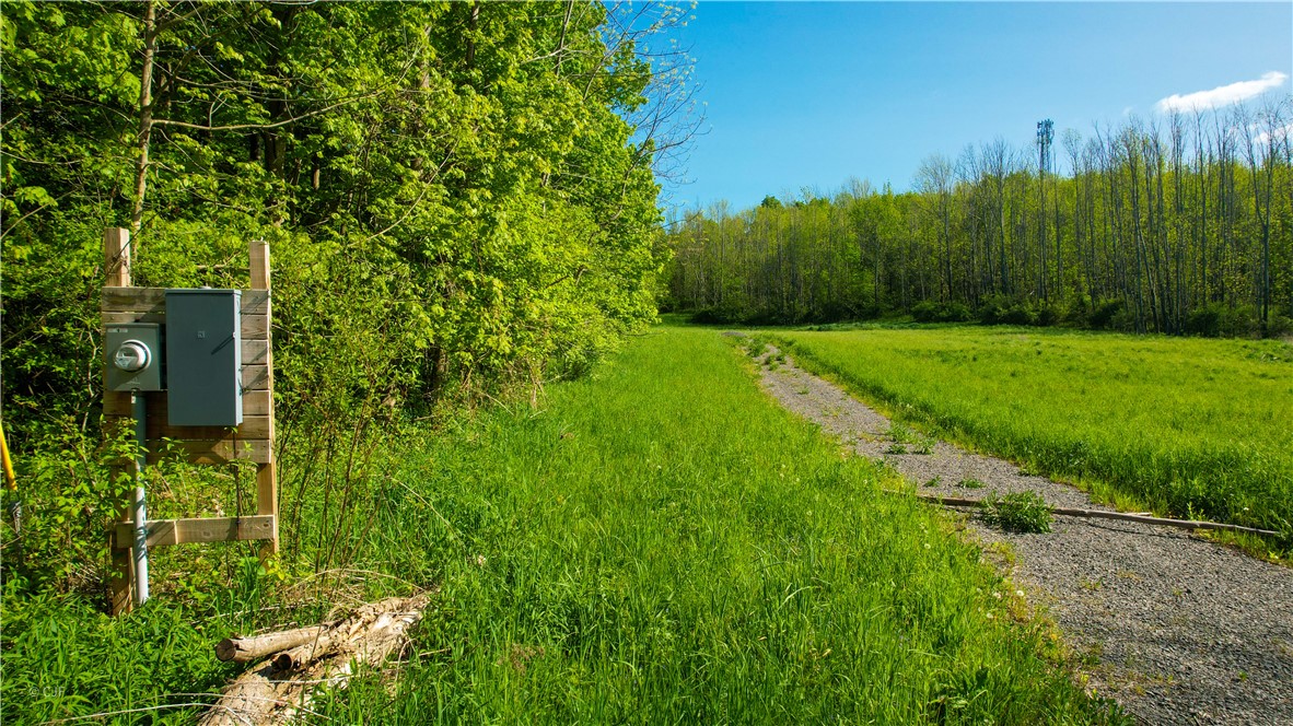 278 Millstone Road Warren, NY 13439 - Photo 3 of 12