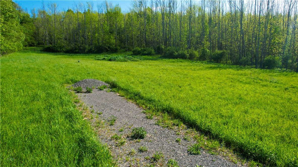 278 Millstone Road Warren, NY 13439 - Photo 4 of 12