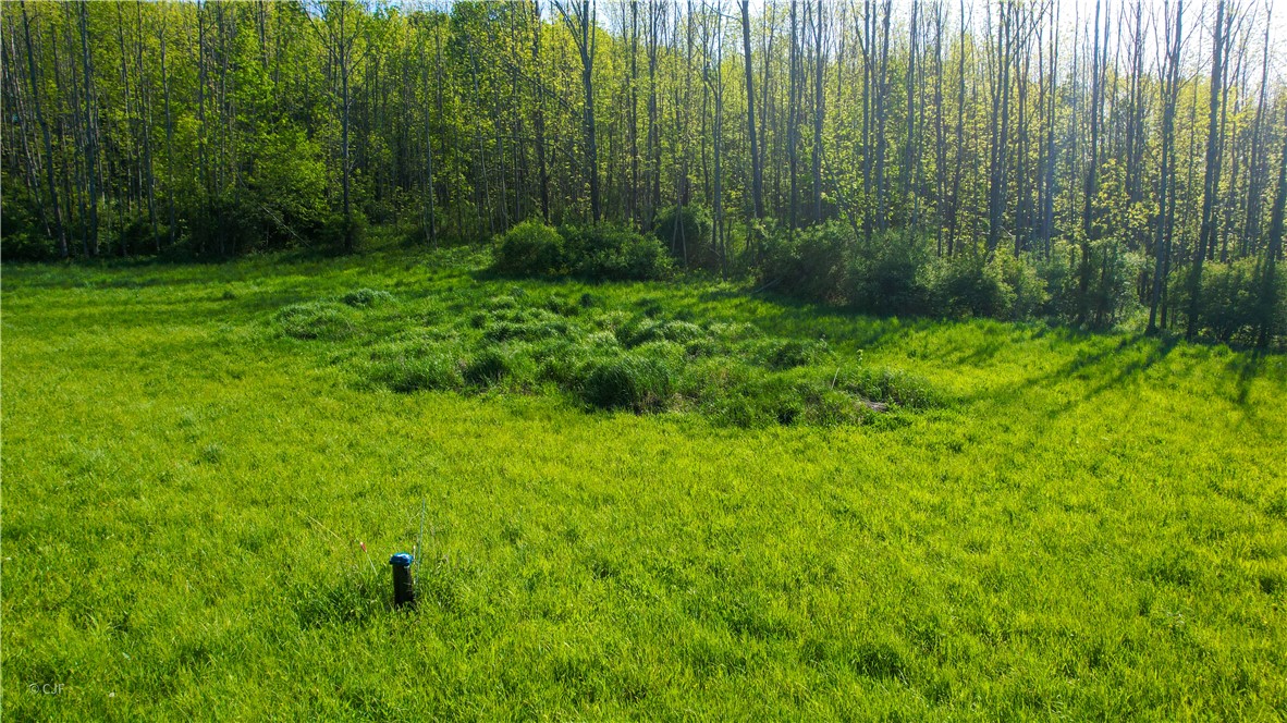 278 Millstone Road Warren, NY 13439 - Photo 5 of 12