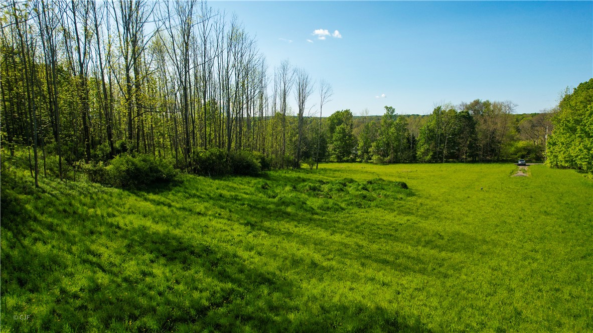 278 Millstone Road Warren, NY 13439 - Photo 6 of 12