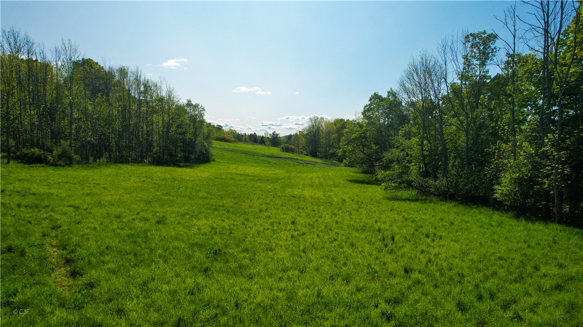 278 Millstone Road Warren, NY 13439 - Photo 7 of 12