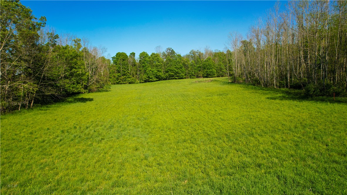 278 Millstone Road Warren, NY 13439 - Photo 8 of 12