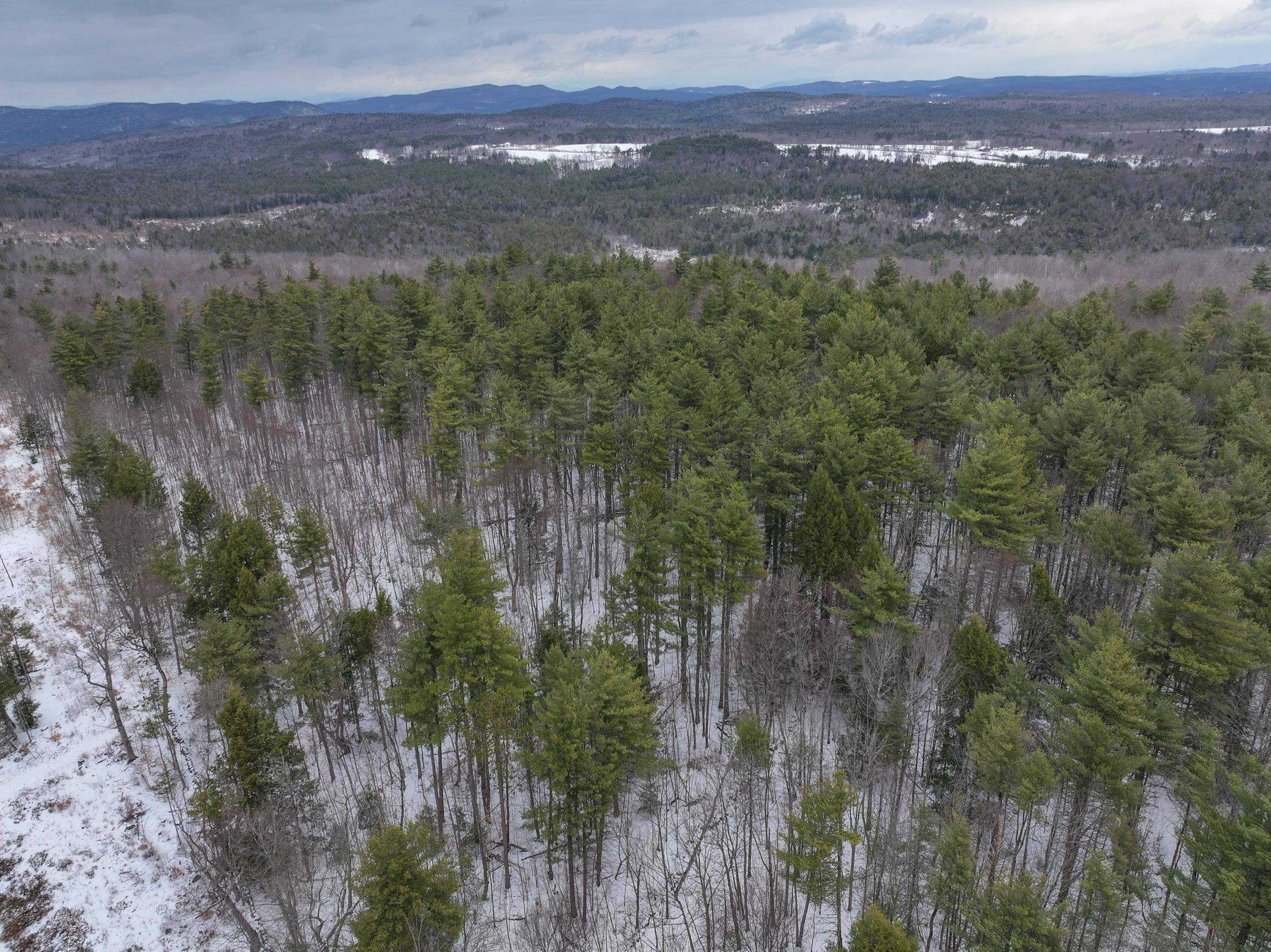Lot 236-10 Raccoon Hill Road Salisbury, NH 03268 - Photo 7 of 17