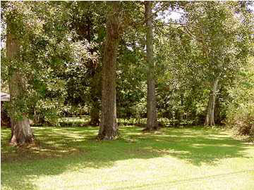 12467 Hooper Road Baton Rouge, LA 70818 - Photo 9 of 9