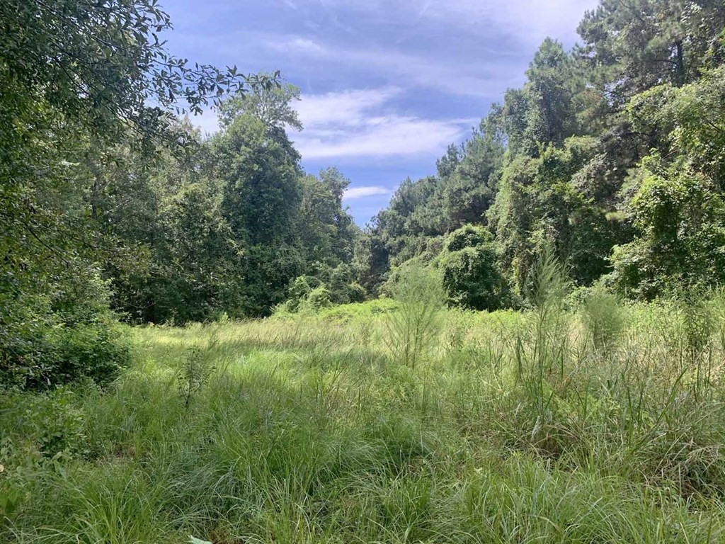 0 Garden City Road Roxie, MS 39661 - Photo 14 of 45 Photo 14