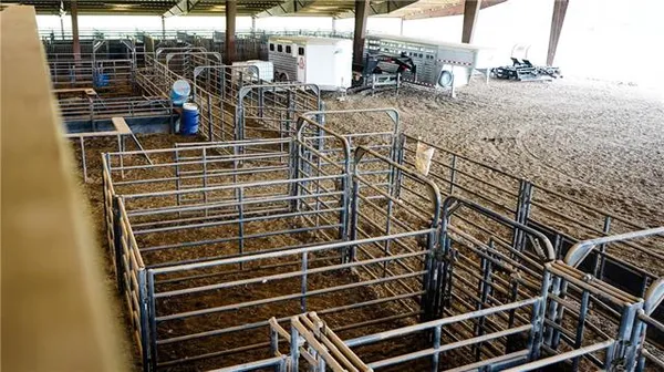 $2,495,000 | 312 East 233rd Street, Cleveland, MO 64734