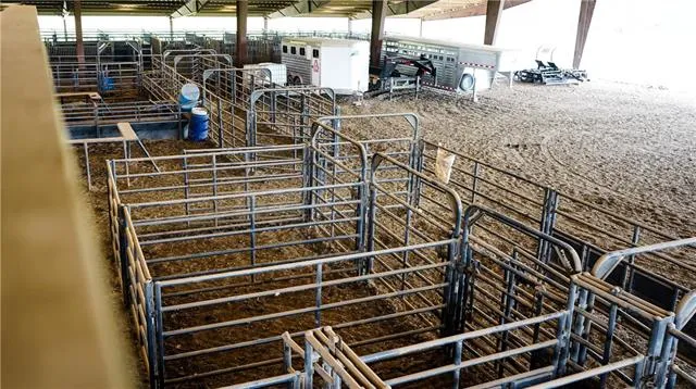 $2,495,000 | 312 East 233rd Street, Cleveland, MO 64734