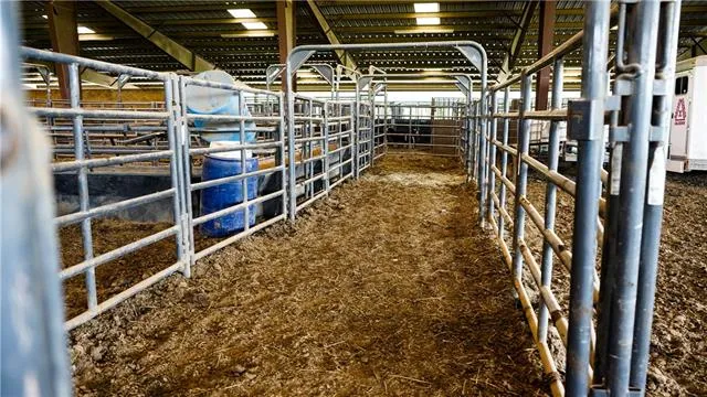 $2,495,000 | 312 East 233rd Street, Cleveland, MO 64734