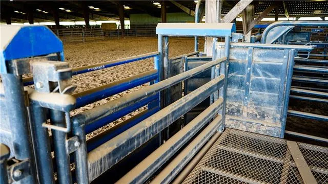 $2,495,000 | 312 East 233rd Street, Cleveland, MO 64734