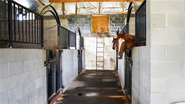 $2,495,000 | 312 East 233rd Street, Cleveland, MO 64734