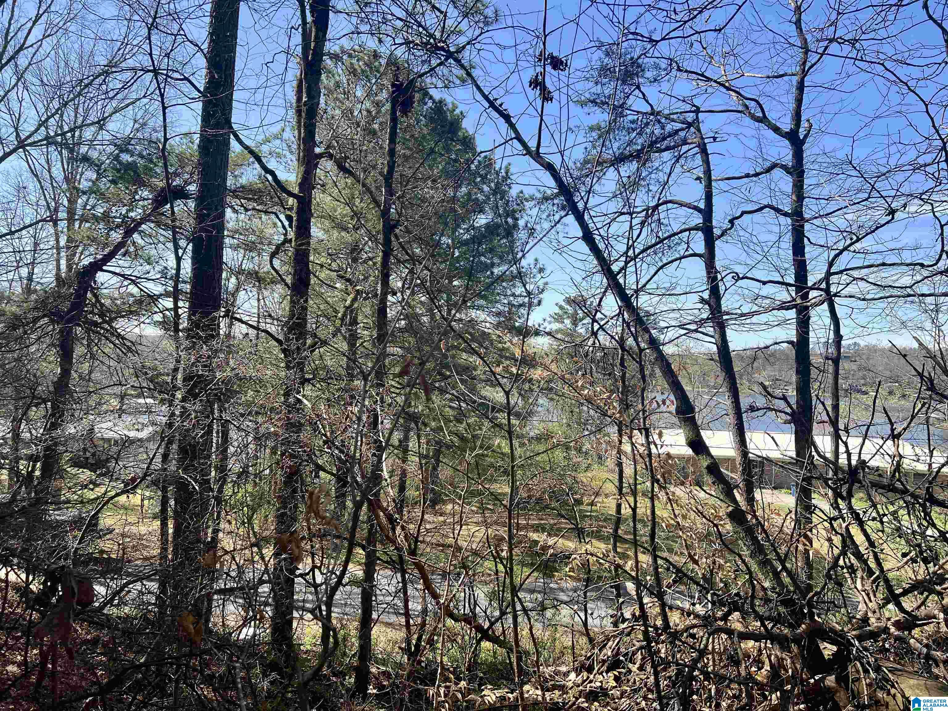 0 Lakeshore Lane, Unit 4 Oneonta, AL 35121 - Photo 48 of 49