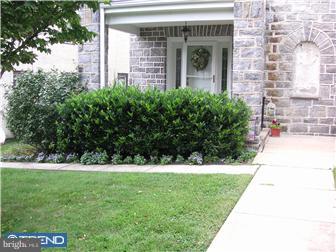 47 Wayne Avenue Springfield, PA 19064 - Photo 1 of 12 Exterior