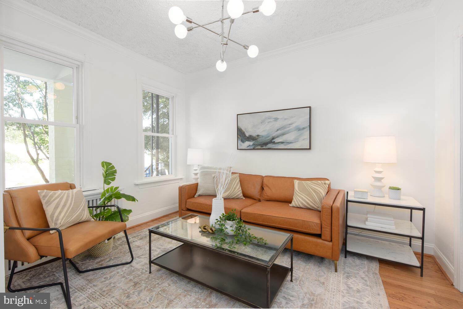 754 Columbia Road Northwest Washington, DC 20001 - Photo 4 of 34 Living Room w High Ceilings & Great Light