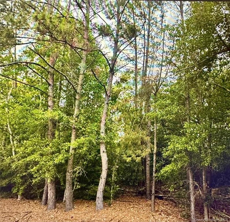 3880 Lloyd Berry Road Vinton, LA 70668 - Photo 3 of 4