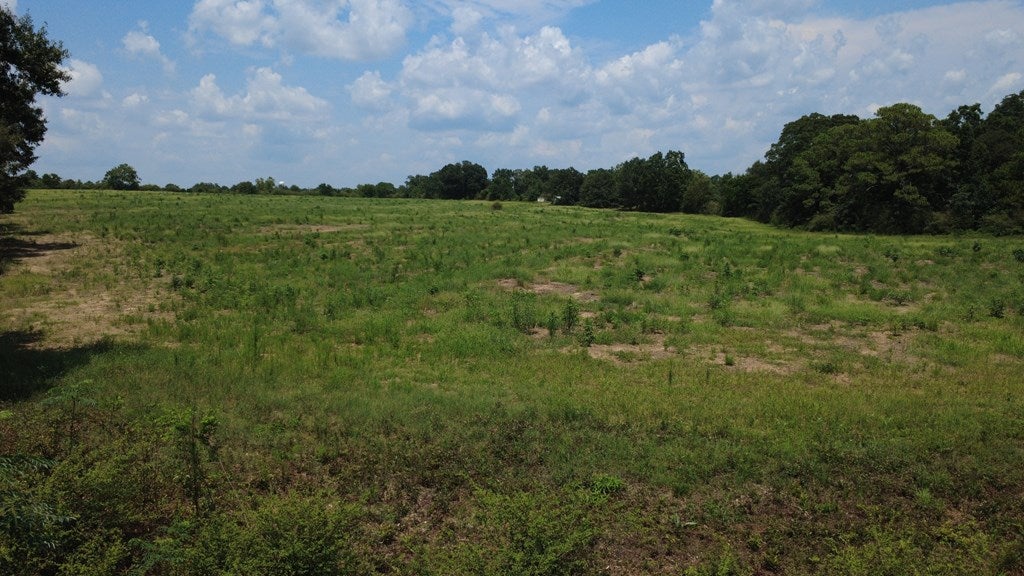 Lot 11 Middleton Road Dothan, AL 36301 - Photo 5 of 7 Gallery Image 5