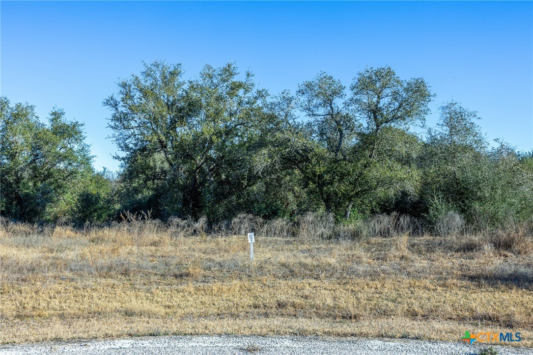 0 Sophie Ranch Road Inez, TX 77968 - Photo 4 of 18