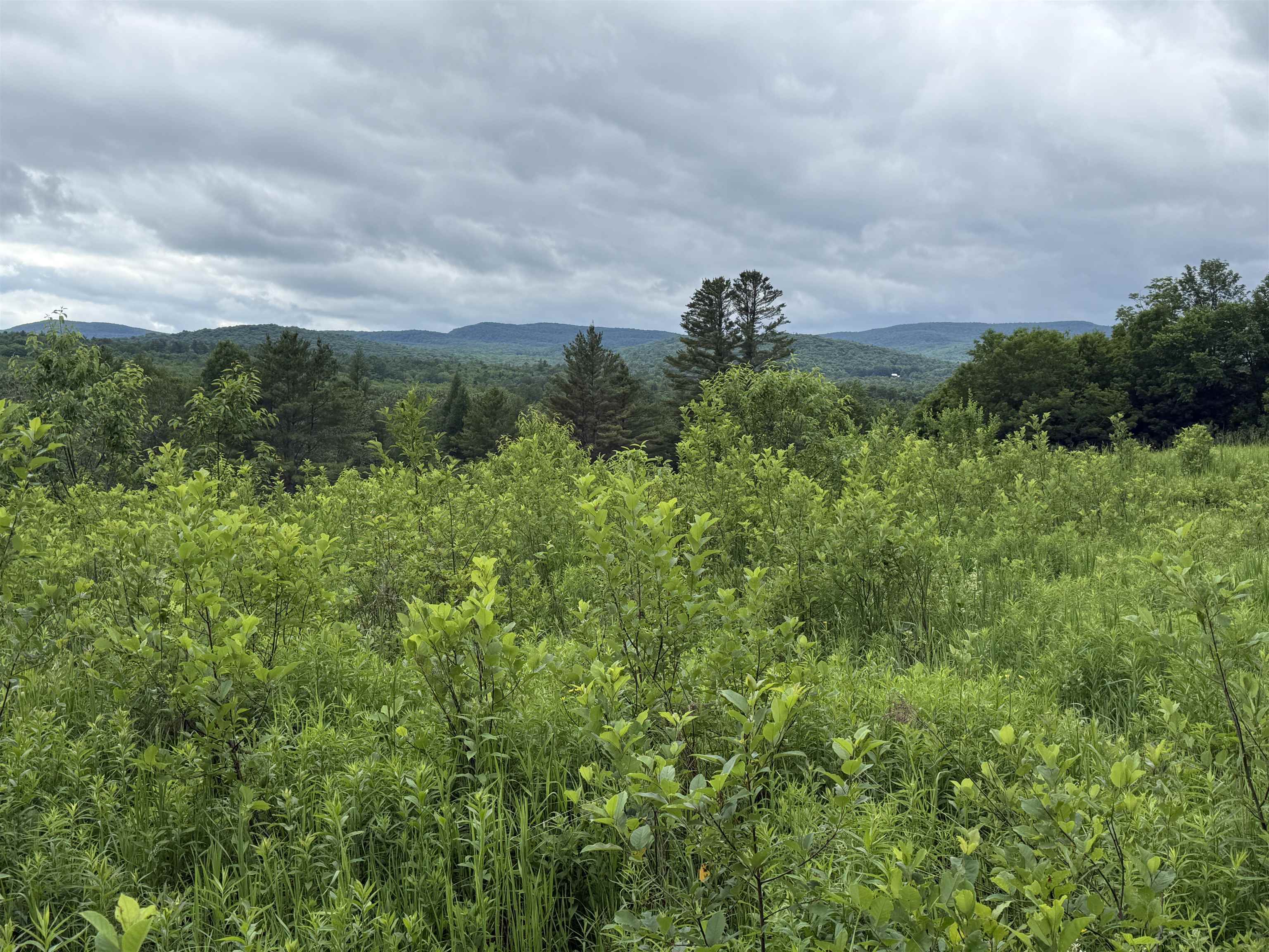 2650 Tampico Road Danville, VT 05828 - Photo 51 of 60
