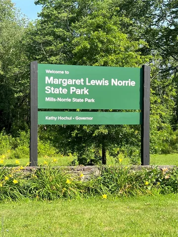 a view of a bunch of plants and trees