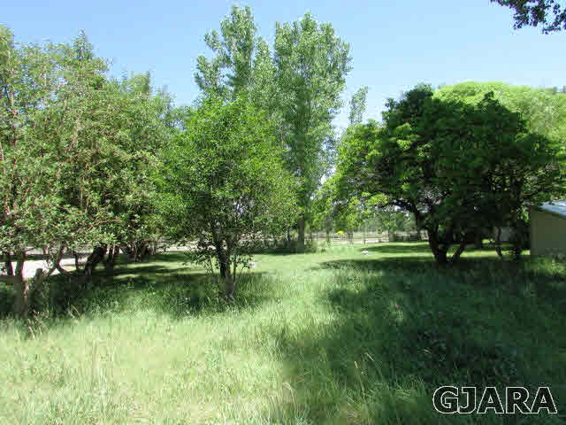 61492 Niagara Road Montrose, CO 81403 - Photo 6 of 39 Gallery Image 6