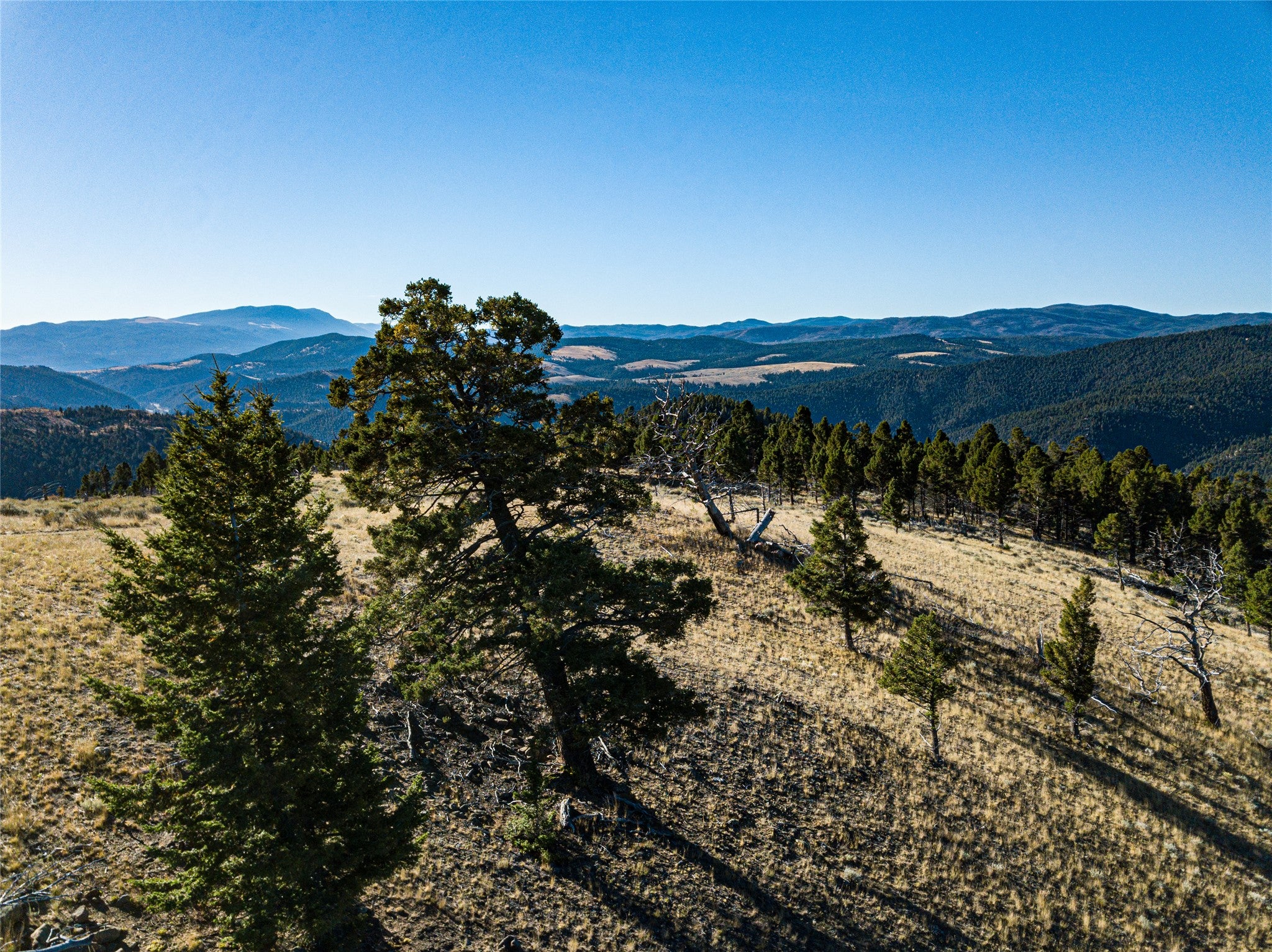 Tbd (40.1-ac) Tbd (40.1-ac) High Ore Road Boulder, MT 59632 - Photo 22 of 62 Gallery Image 22