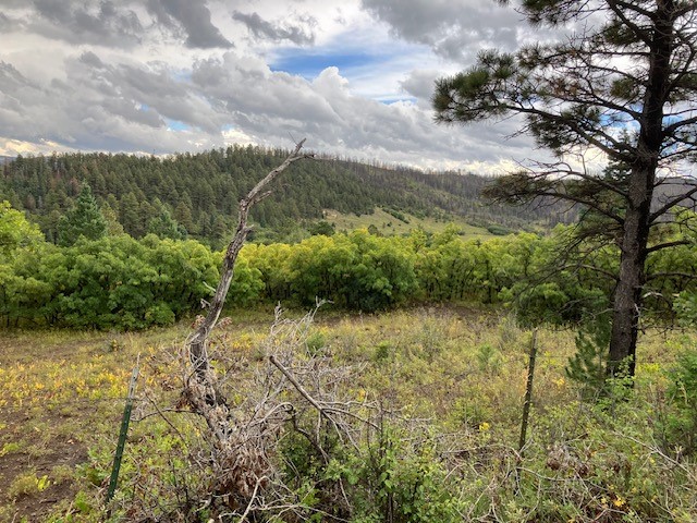 1 La Sierra Road Holman, NM 87723 - Photo 8 of 18