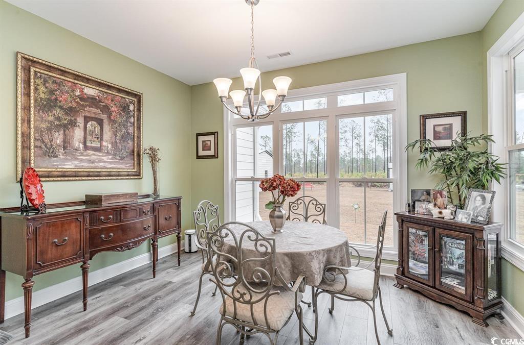 191 Manchester Ranch Place Aynor, SC 29511 - Photo 6 of 39 Gallery Image 6